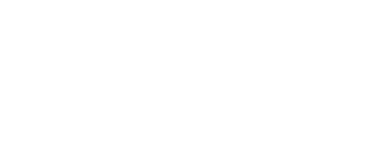 solution_detailed_white_layer