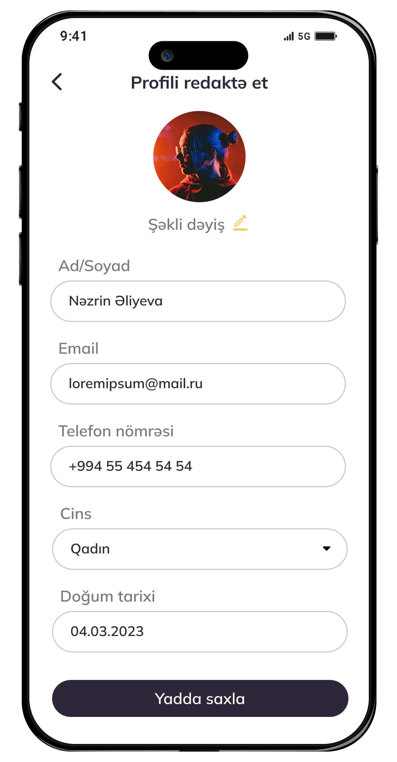 project screenshot
