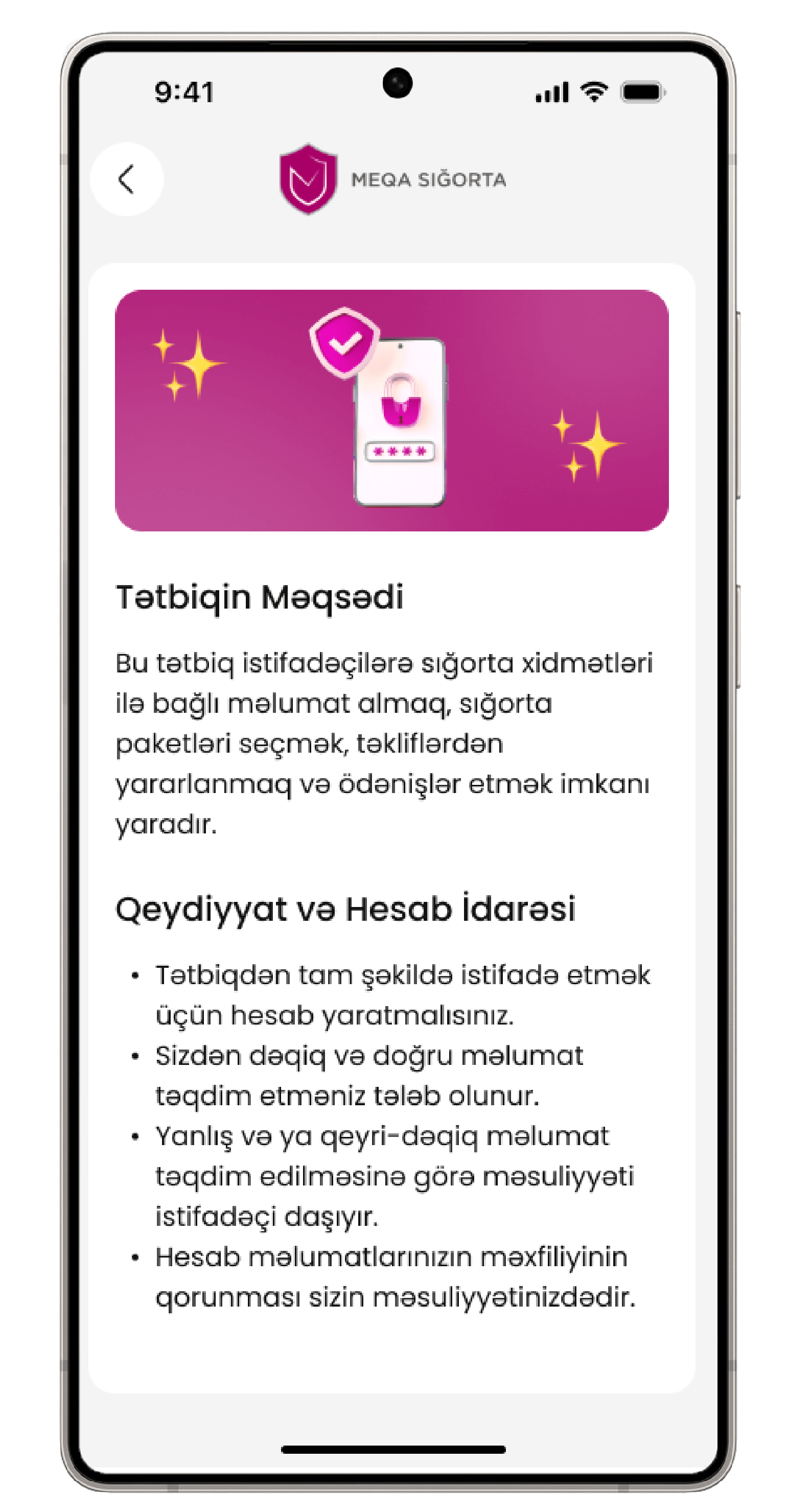 project screenshot