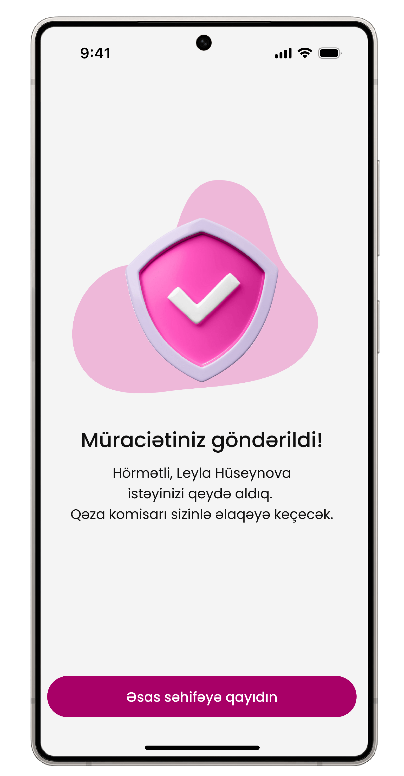 project screenshot