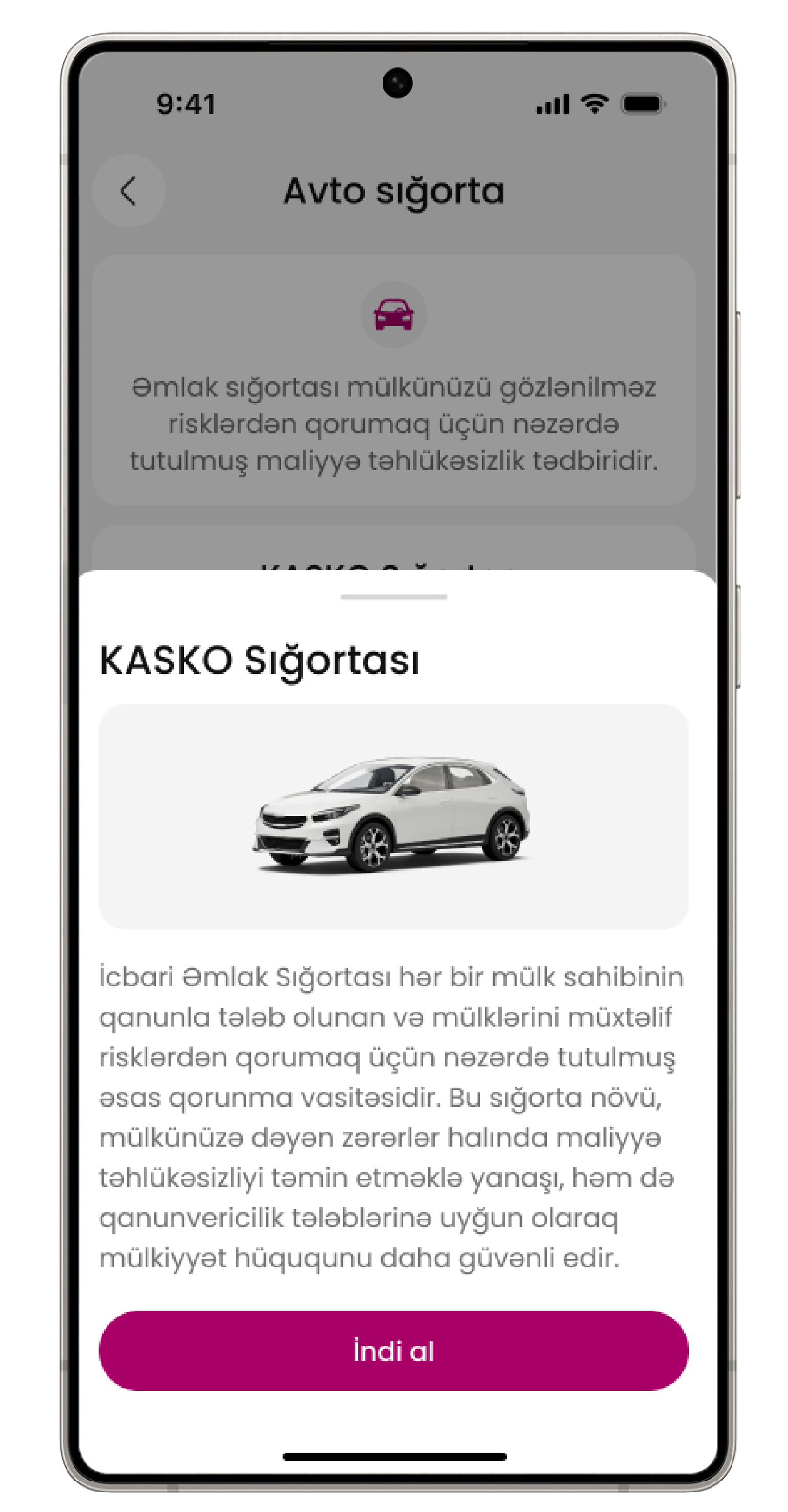 project screenshot